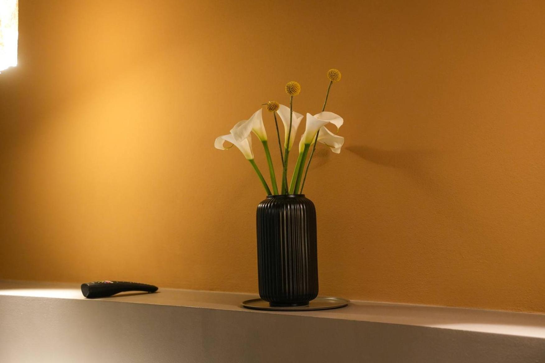Bed and Breakfast Sant'Eufemia 30 Modena Exterior foto